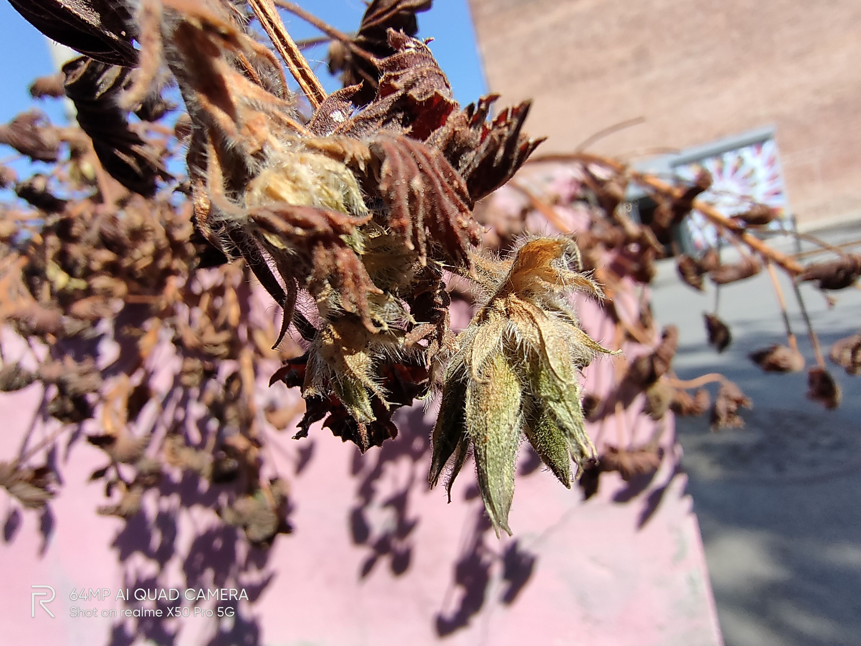 realmex50pro手机最大的缺点,realmex50pro有没有旗舰水准