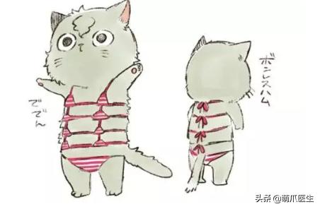 猫身上长了粉色疙瘩,公猫身上长了粉色的疙瘩