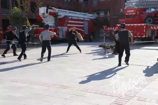 昆明的防暴演练,昆明西山消防演练