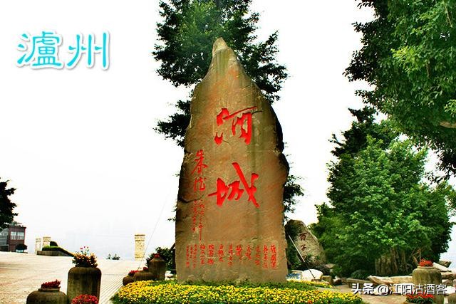 陈忠和经历,陈中和经济人