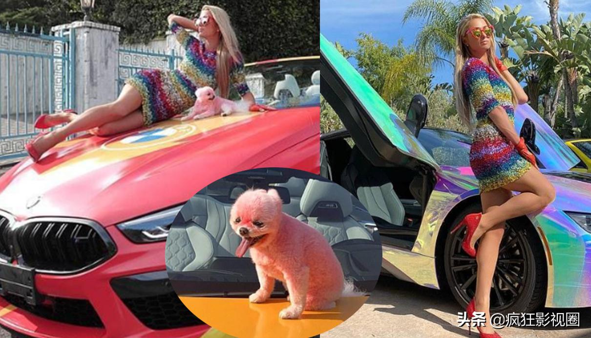 美国著名名媛家族,美国的名媛家族