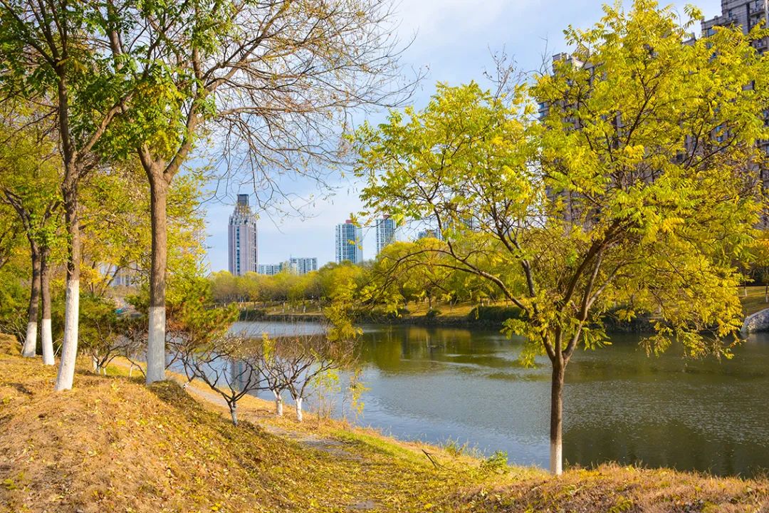 北京新开40个公园在哪里,北京十佳公园