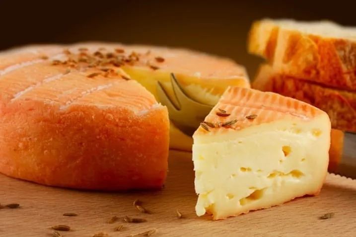 比牛奶好的食物,比牛奶更有营养的奶