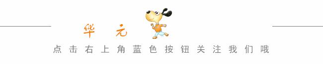 狗狗走丢了该怎么办,狗狗走丢了有什么办法找回来