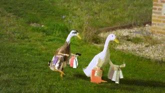 火爆全国的800㎡＋网红生活馆空降天津！居然隐藏了这么多秘密