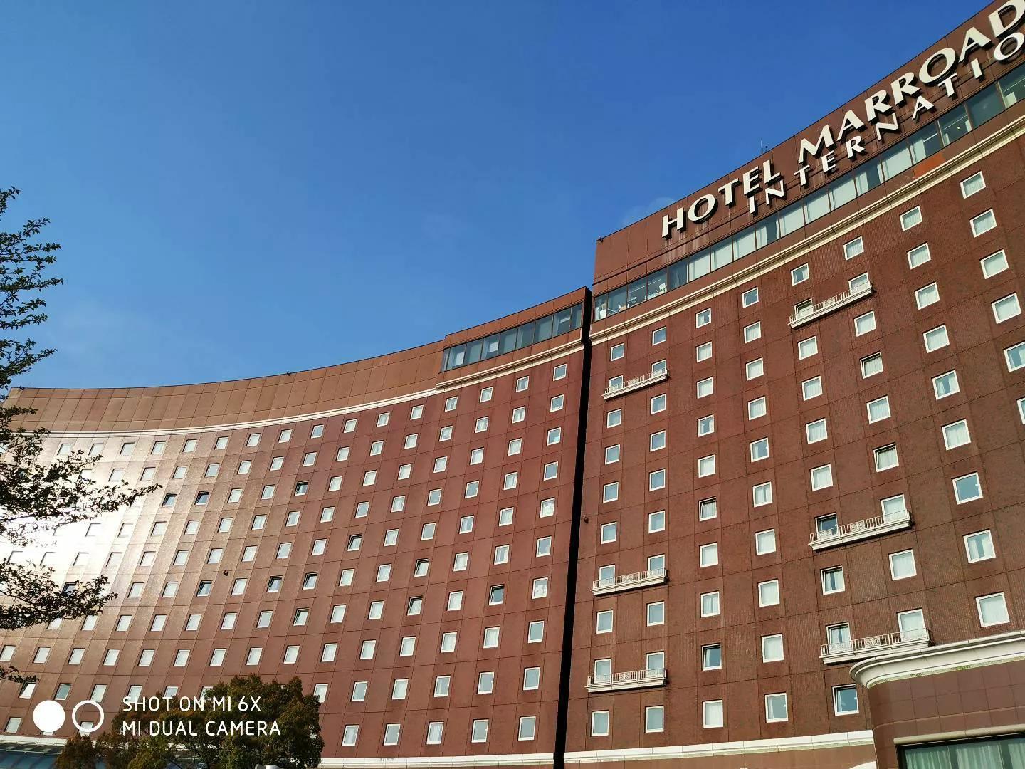 浪漫樱花舞完整版,浪漫樱花28步