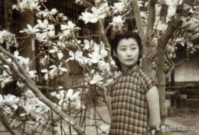 老北京胡同讲解视频,老北京胡同之东四三条