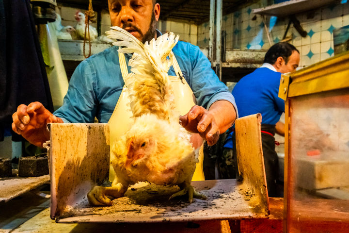 五一冷门小众旅游目的地,十大必去小众深度目的地