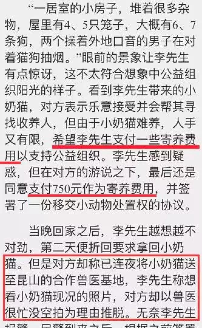 交易猫被央视曝光,收养流浪狗的真实记录