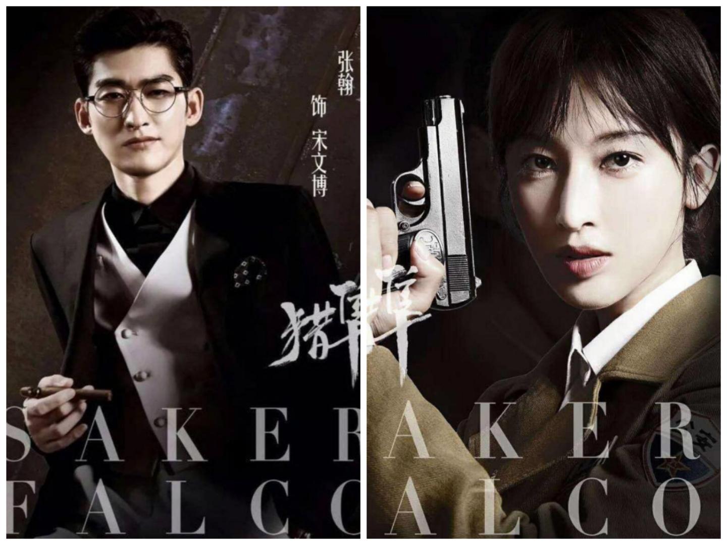 猎隼电视剧精彩片段,猎隼大结局