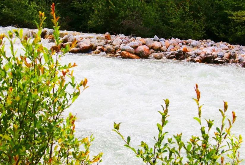 贡嘎山的徒步,贡嘎雪山大环线徒步游记