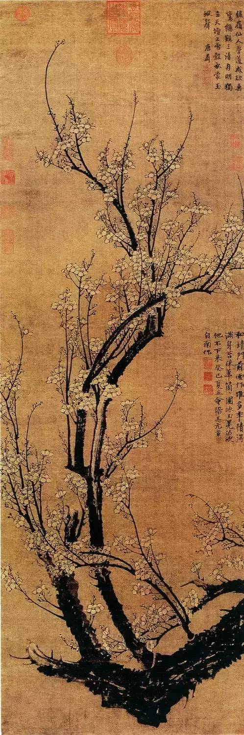 梅兰竹菊都代表了哪些精神寄托,梅兰竹菊哪个象征文人精神