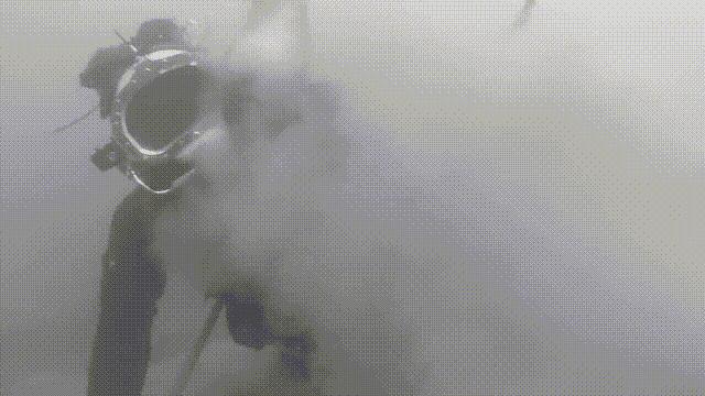 蚬蚌蛏的区别是什么,蚶子蛤蜊蚬子区别