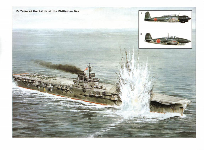 巨兽之亡（10）——缺了姐姐帮挡枪，老兵“瑞鹤”混不下去了