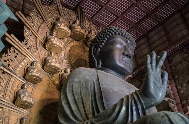 为了一群鹿而去一座城!日本奈良如何从“穷乡下”逆袭...