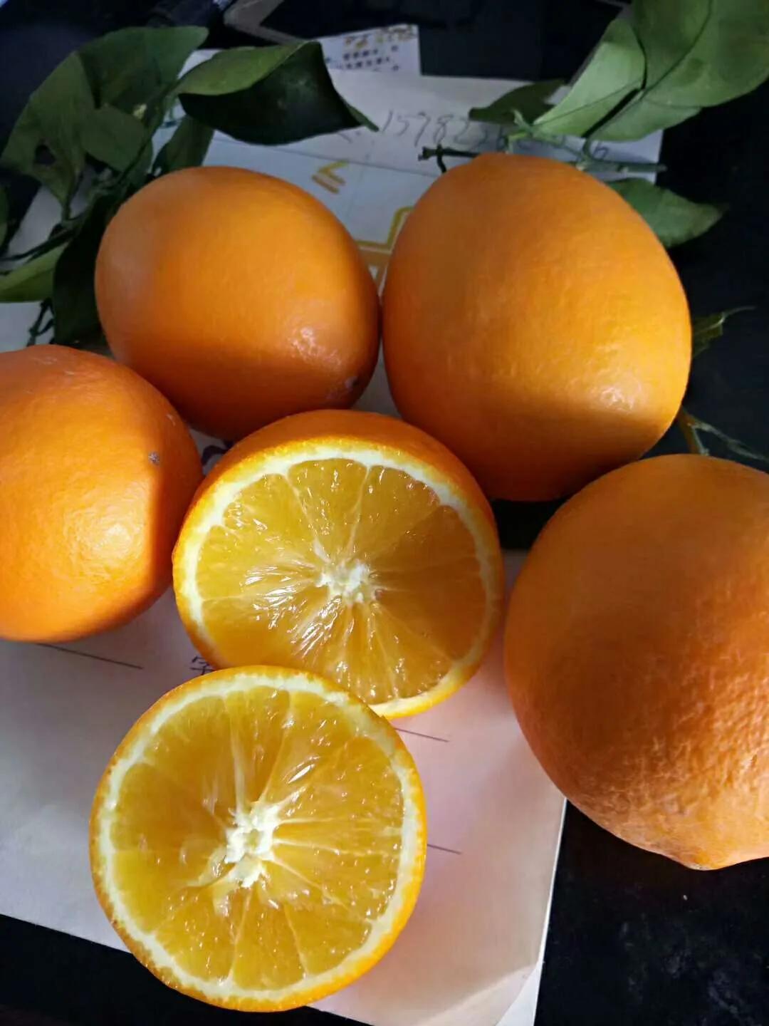 热带水果王国攀枝花,攀枝花一年四季有哪些水果