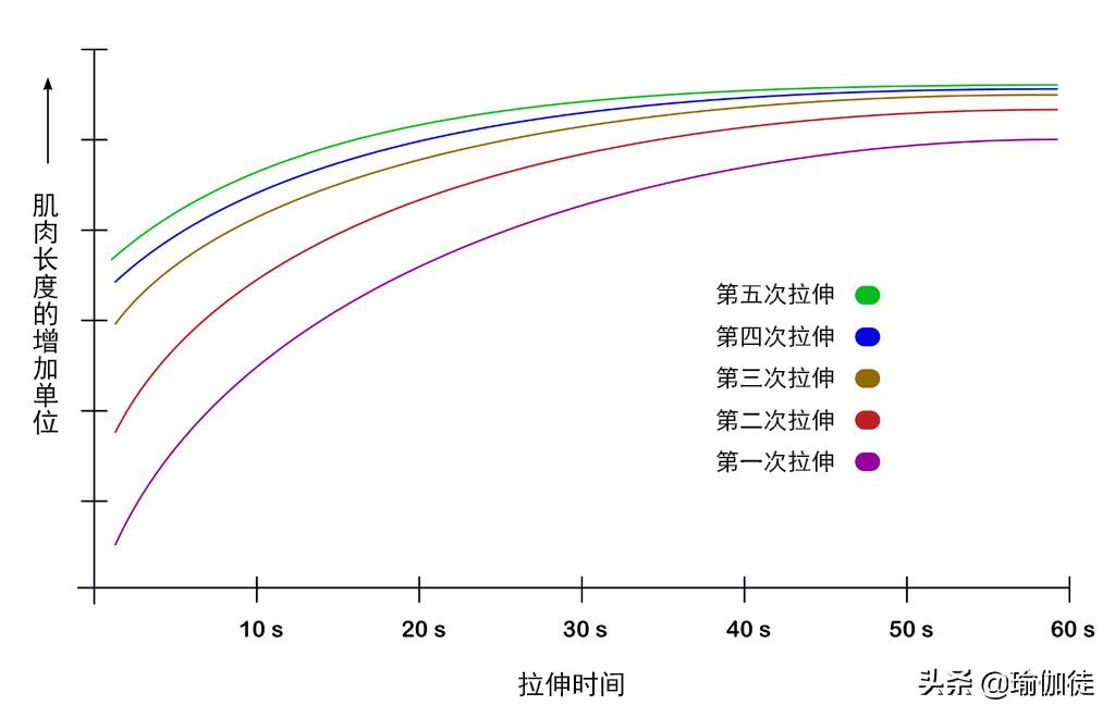 劈叉时劈不下去怎么办,成年人怎么练习劈叉不受伤