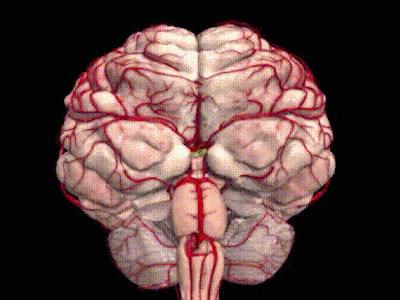 良性脑瘤一般能活多久,良性脑瘤没切干净要化疗