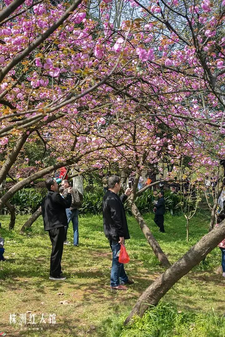 以前的株洲神农公园,株洲神农公园古城