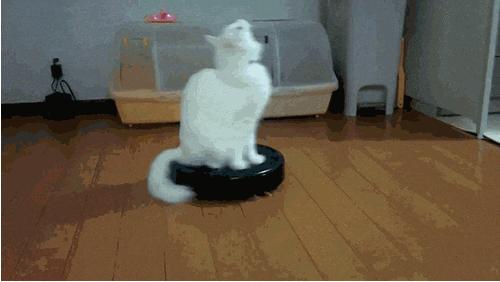 还花呗时候的心情,还花呗前还花呗后