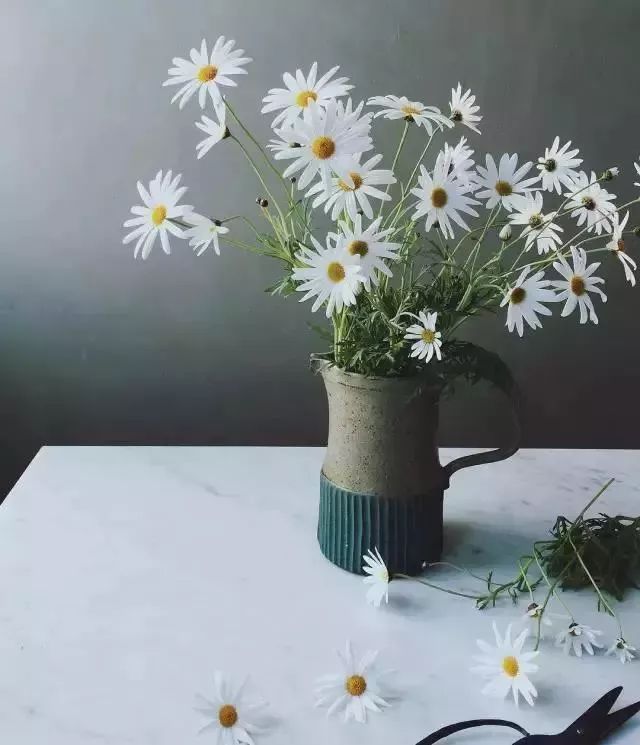 买回来的一束花如何插花,下班路上买一束花然后试着插花