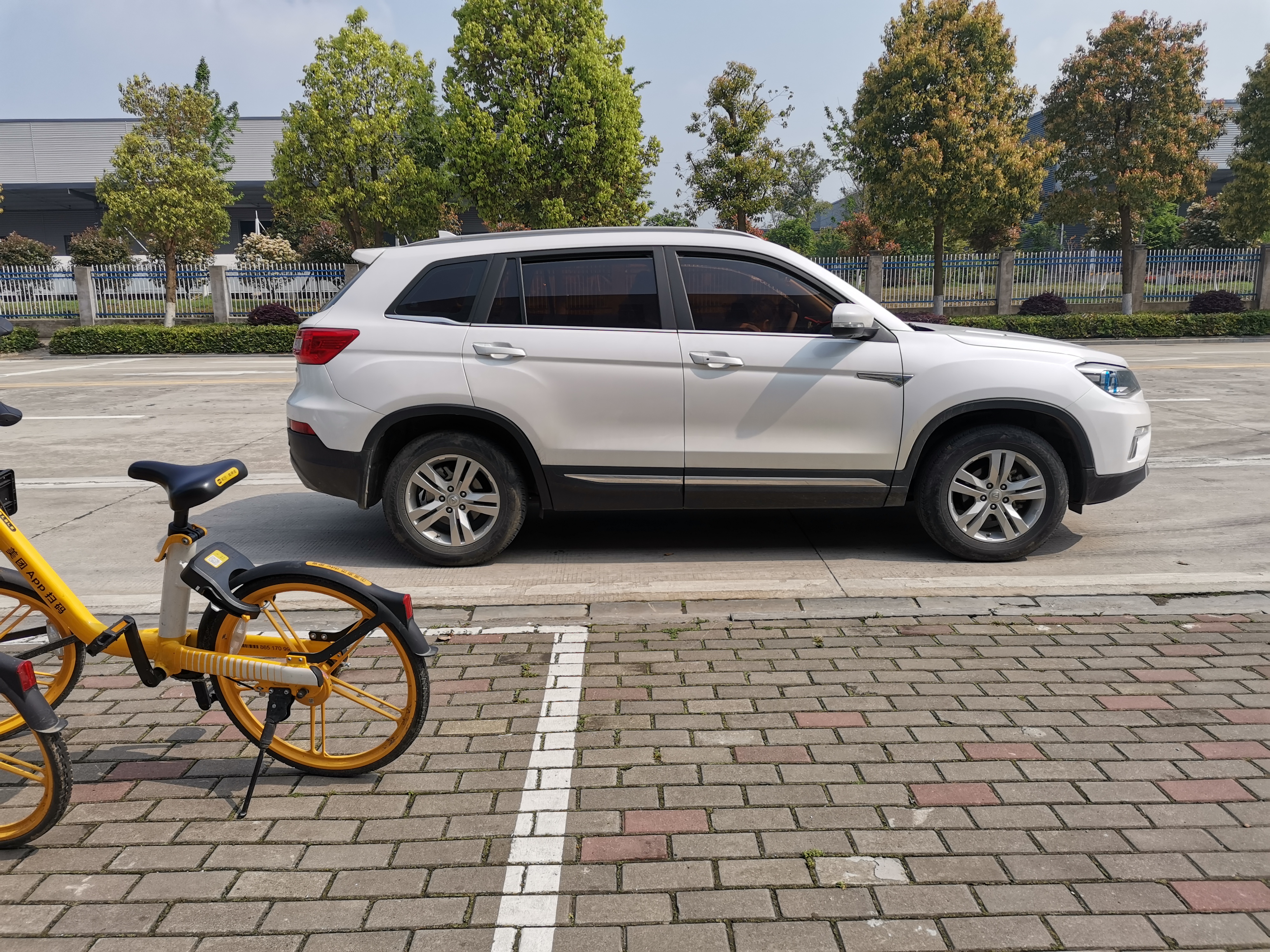 同心花海风景区,春光无限好旅游观光