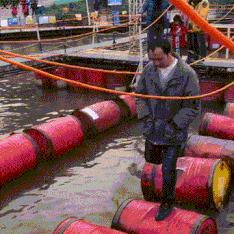 在野外发现甘蔗,在山里发现甘蔗