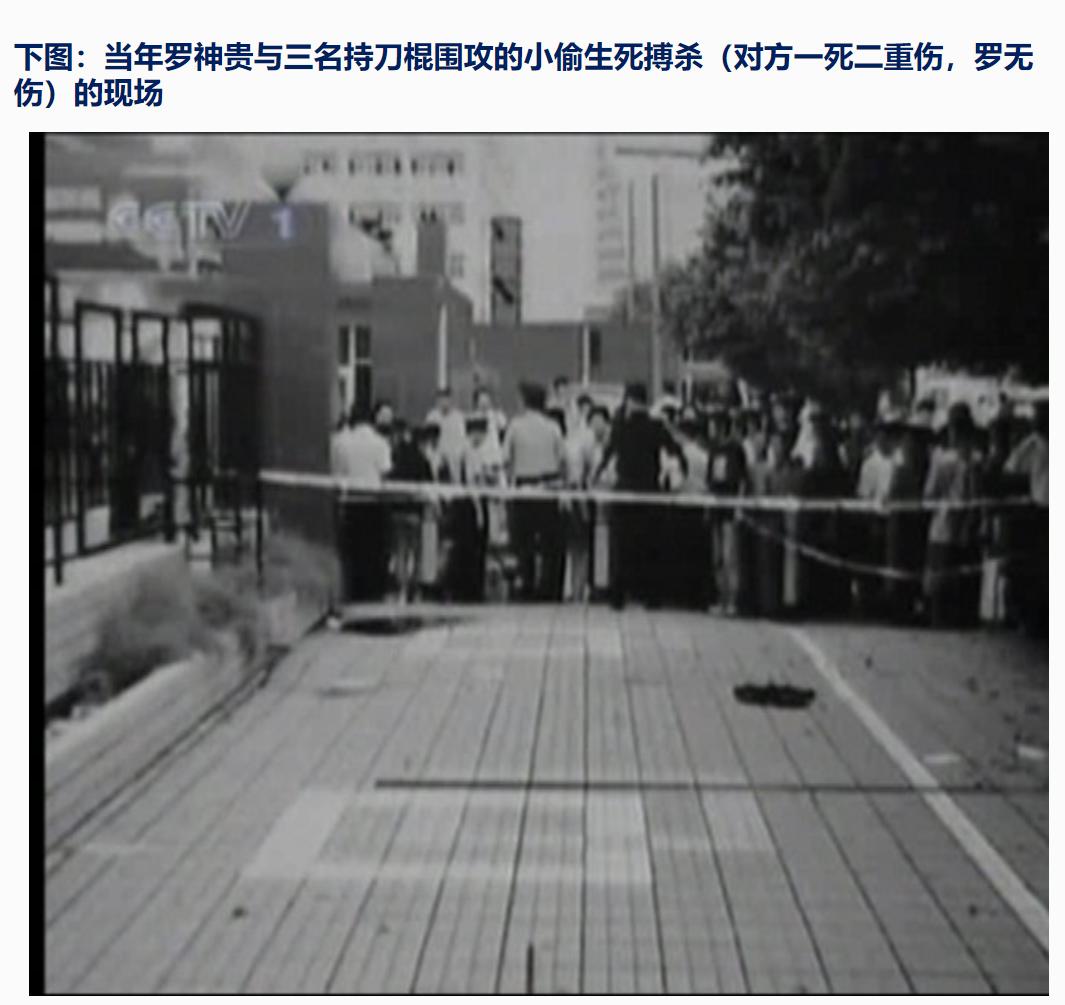 陈鹤皋疯狗拳自由搏击,陈鹤皋疯狗拳宗师