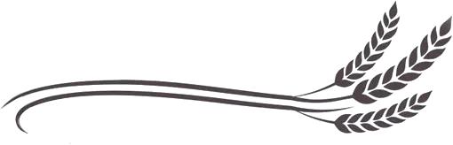 明星真正在用的护肤品,明星都喜欢用的平民护肤品