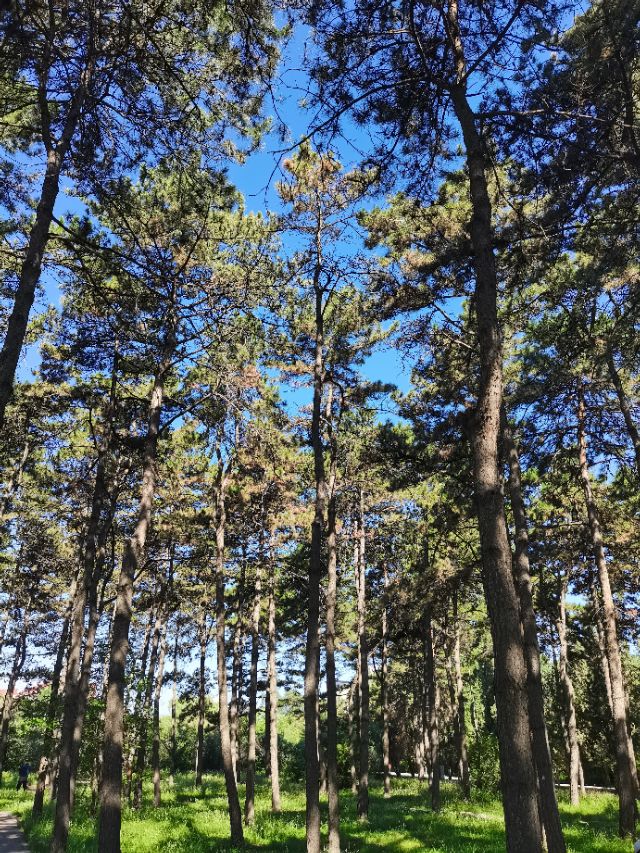 一个人被三个人讹怎么处理,被人讹了一百块心里不爽怎么办