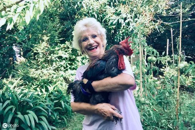 乡村是一种回忆,乡村是很多人心里的根