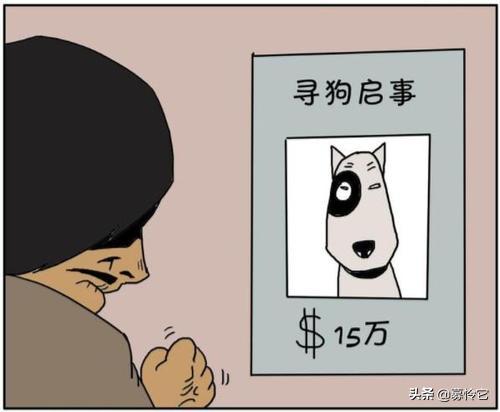 狗狗走丢了是家运不好吗,狗狗走丢了怎么办