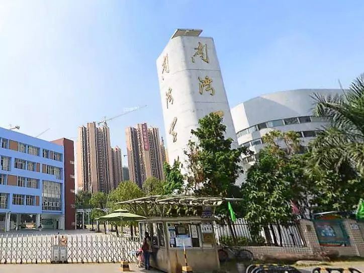 龙岗区私立小学排名前十,龙岗区小学质量排名一览表