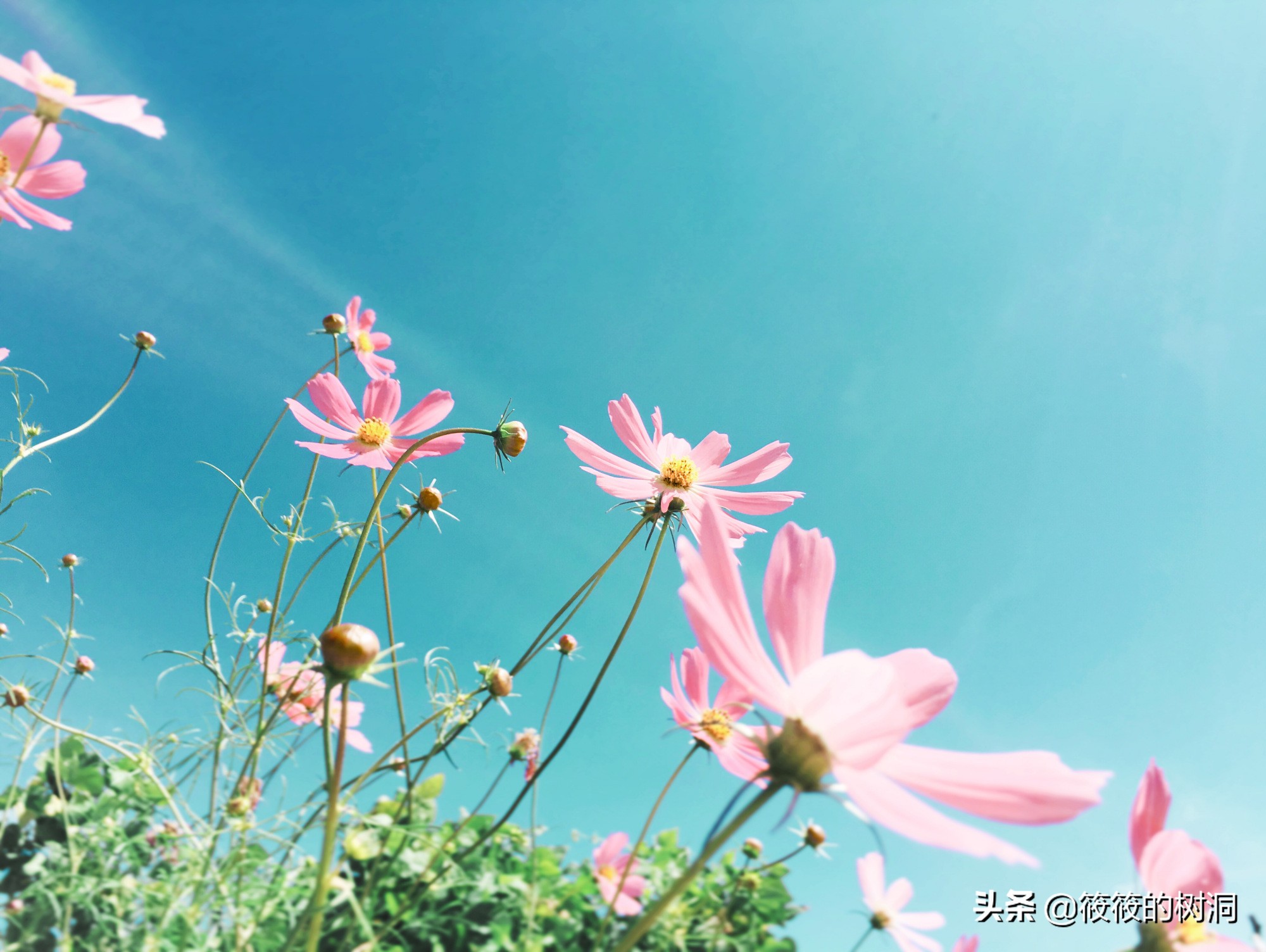 辞职休息半年感悟,工作10年辞职感悟