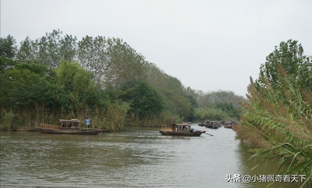 溱湖国家湿地公园晚上好玩吗,溱湖国家湿地公园门票