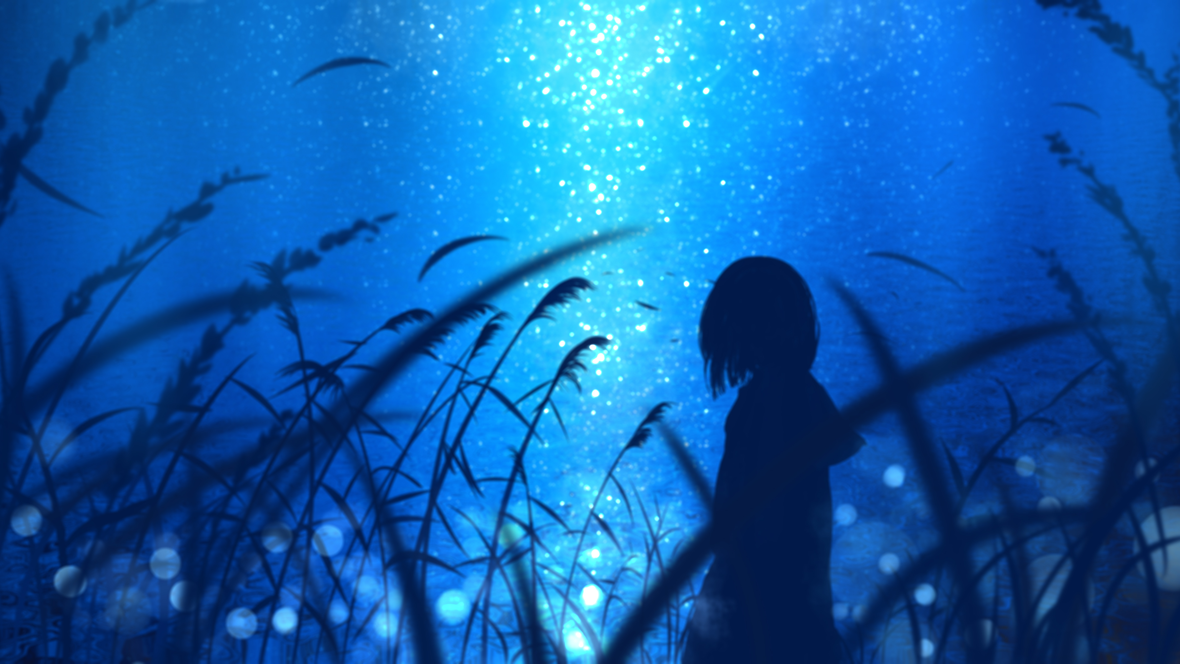 桌面壁纸中国风动漫剑客美女,电脑桌面壁纸动漫狐狸高清全屏