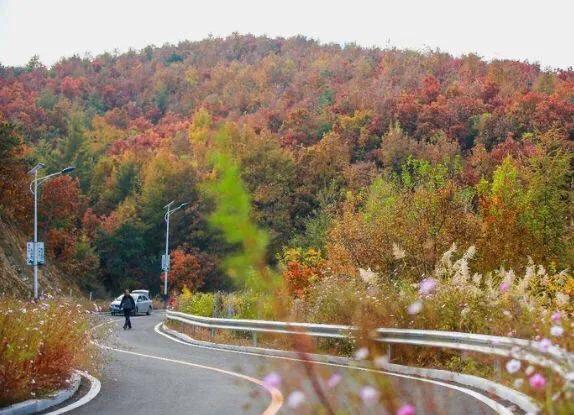 大连哪里的秋色最美呢,大连赏秋景的地方