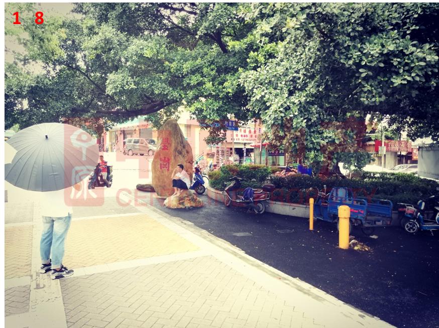 深圳沙井印象,深圳西游记忆客栈