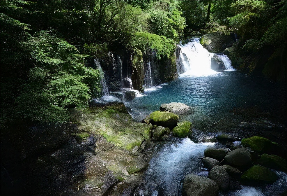 富氢水水中贵族,水中贵族视频