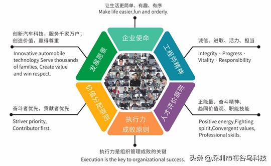 深圳布谷鸟信息科技有限公司,布谷鸟科技有限公司简介