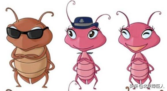 办公室有蟑螂怎么办能除掉,办公室蟑螂怎么来的