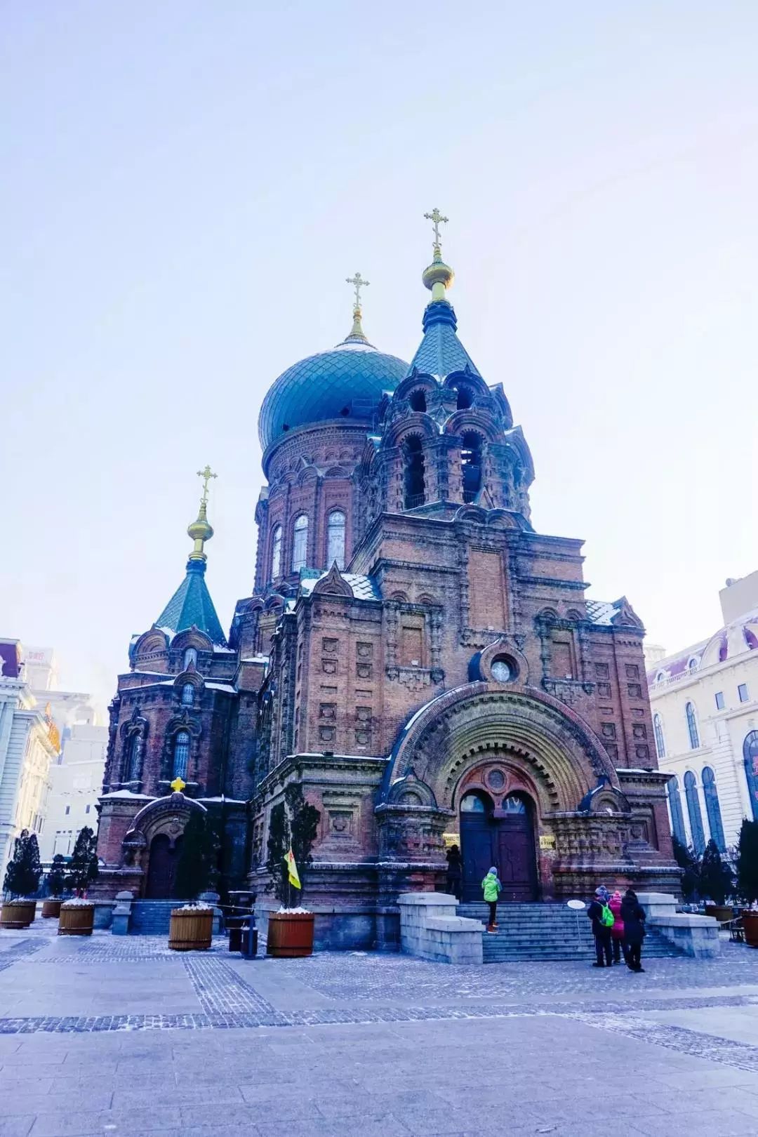 哈尔滨冰雪世界研学,新启元厦门暖冬研学营