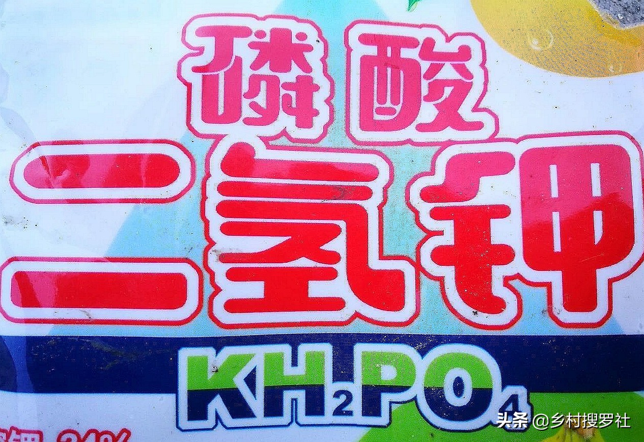 兰花施肥用什么肥料,兰花怎么施肥用什么肥料