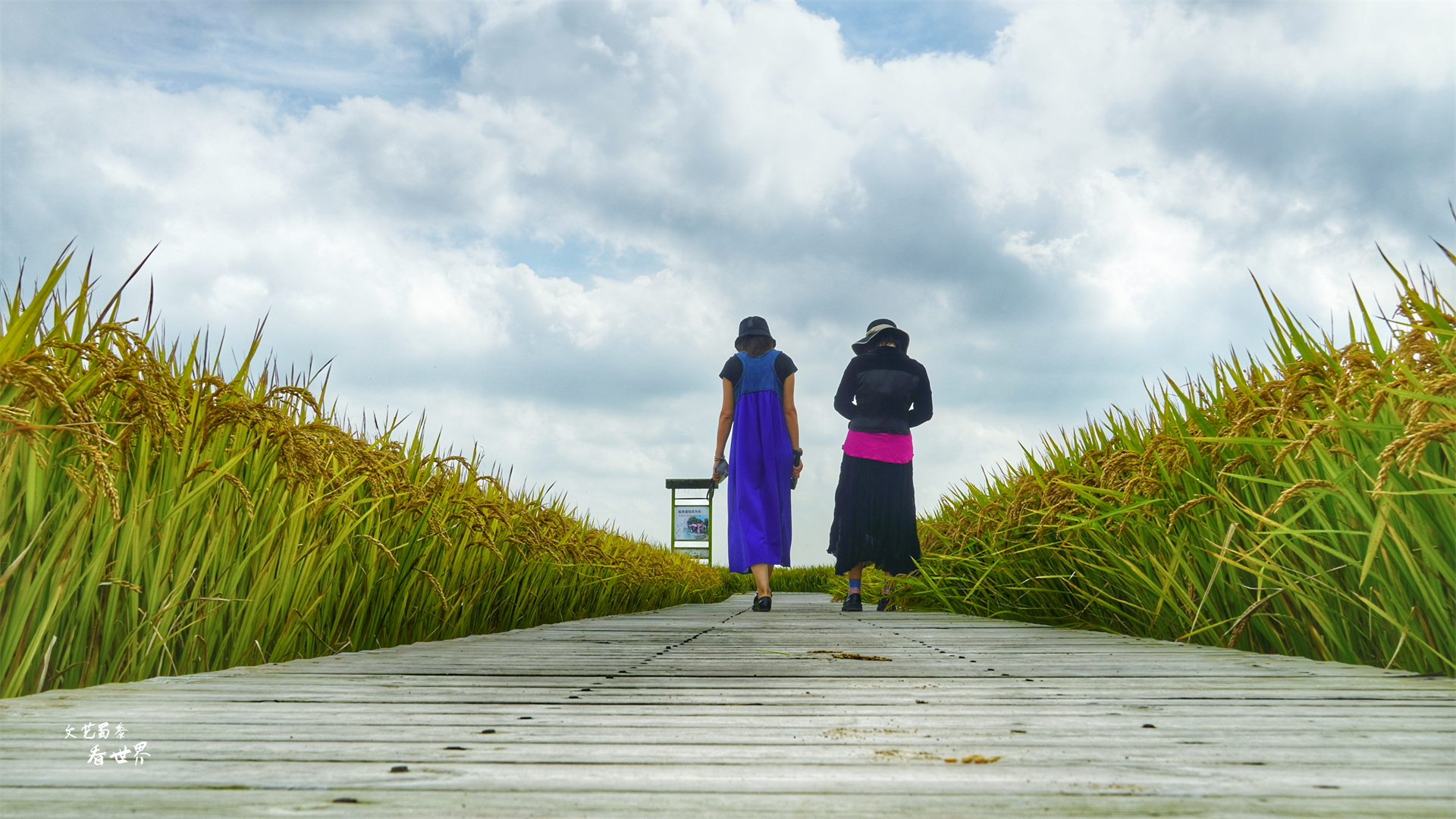 沈阳稻梦空间在哪个位置,沈阳市稻梦空间门票