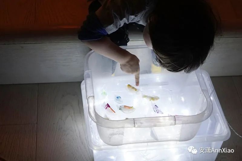 有哪些早教游戏,早教机构早教游戏