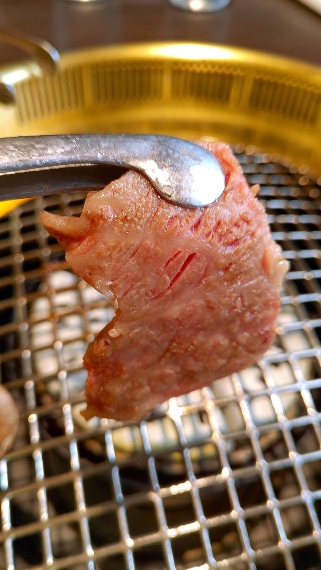 景点打卡日本名古屋乐高公园,日本名古屋乐高公园