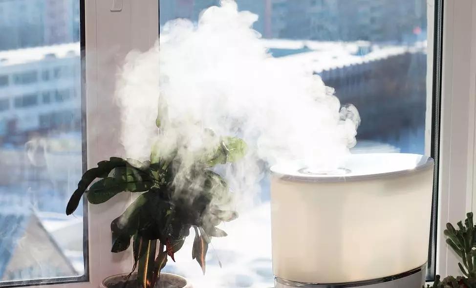 加湿器使用不当会得肺炎吗,加湿器使用不当比吸雾霾还可怕