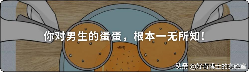 希腊脚最丑还是埃及脚好看,希腊脚罗马脚埃及脚哪个最稀有