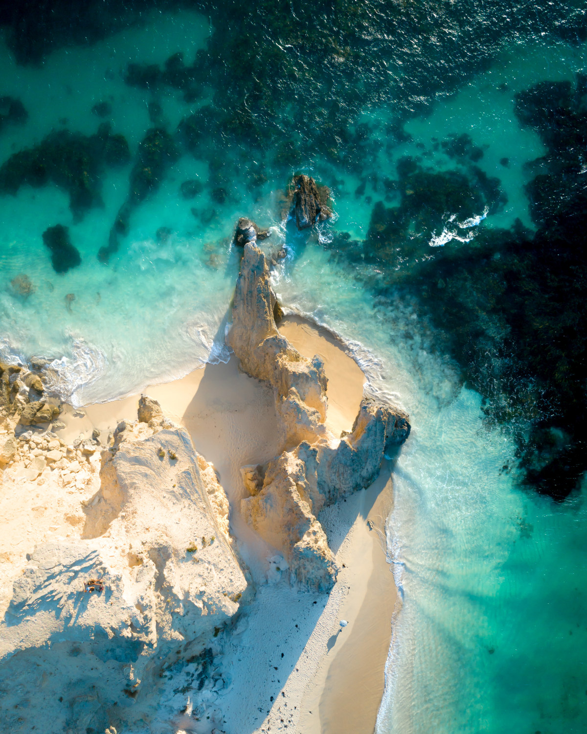 企业发展和个人规划,企业团队建设与管理