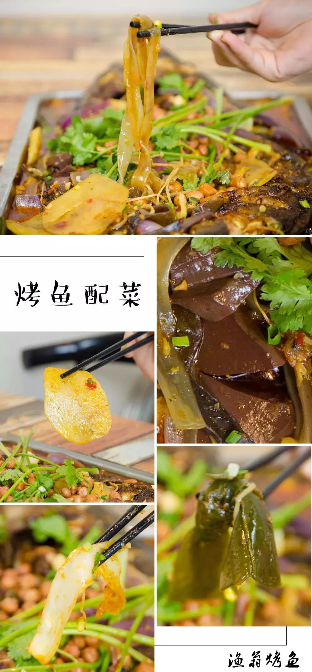 鱼控要疯了~光靠颜值就已经圈粉无数